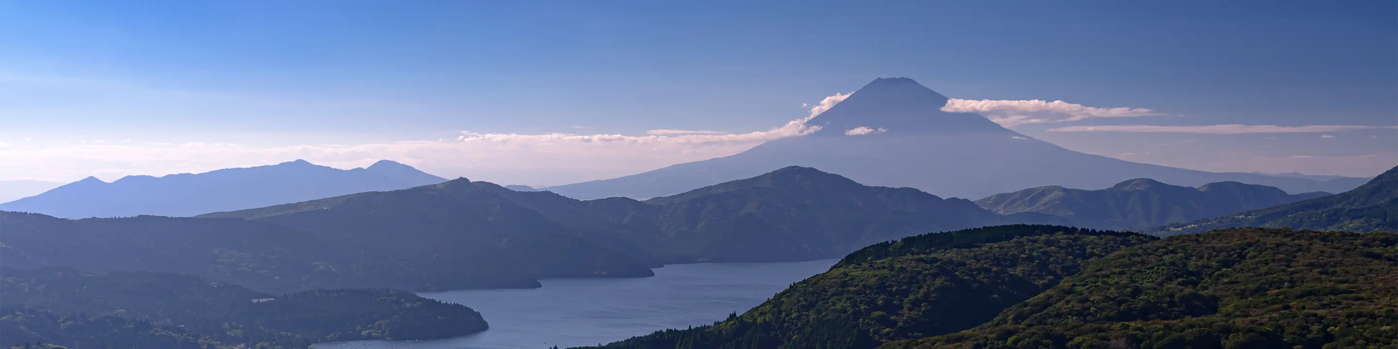 夏の大観山から見る富士山