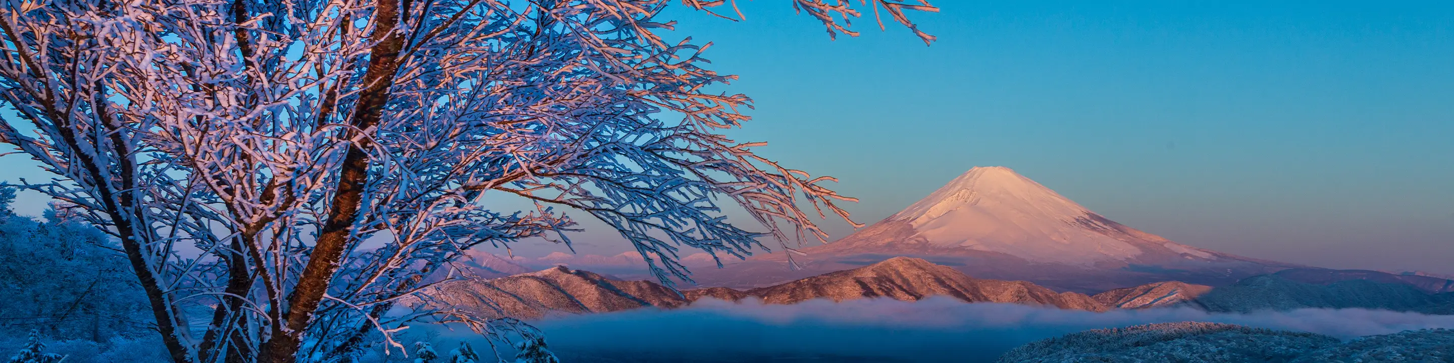 箱根大観山から雪景色の紅富士の風景