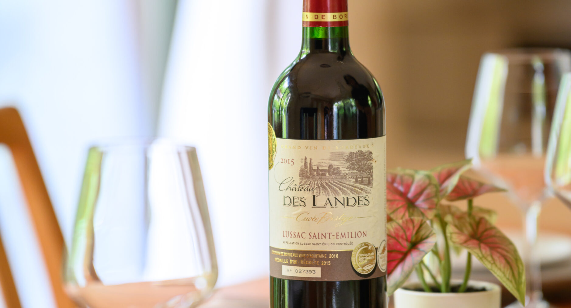 小涌谷・樂の写真 47