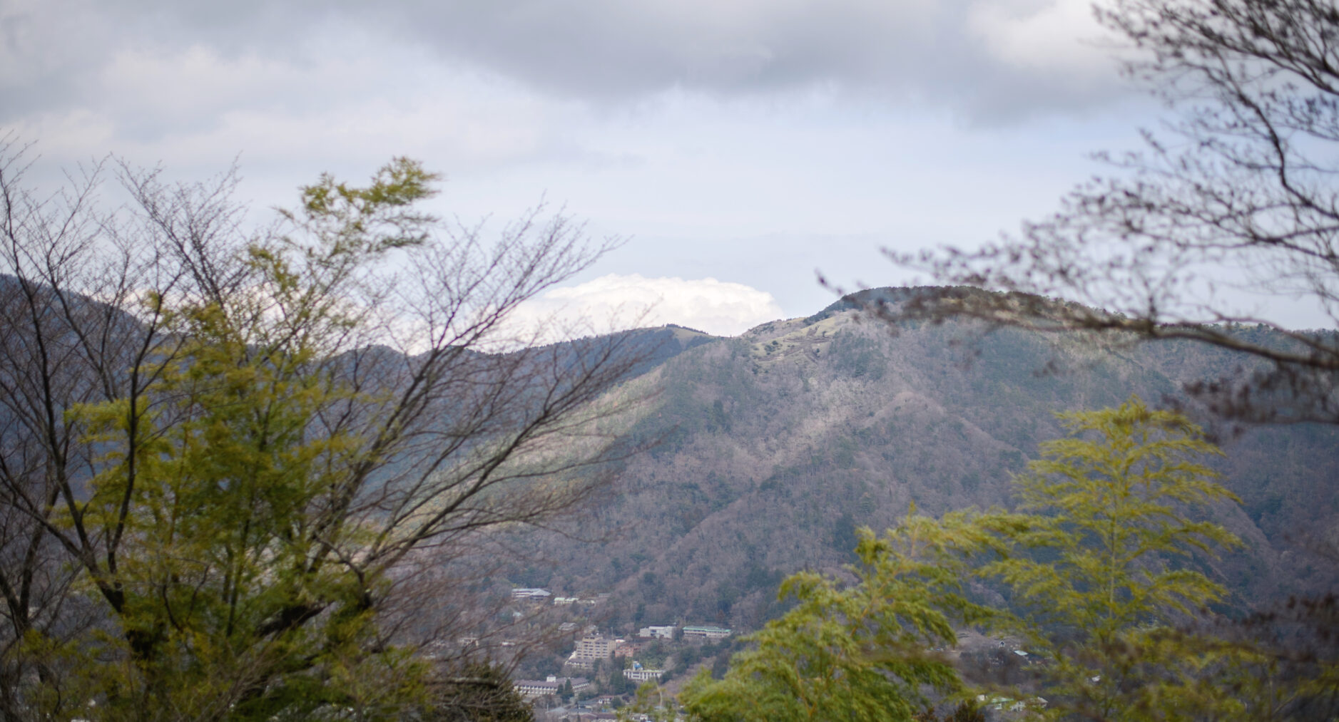 Hakone Ninotaira Cottageの写真 55