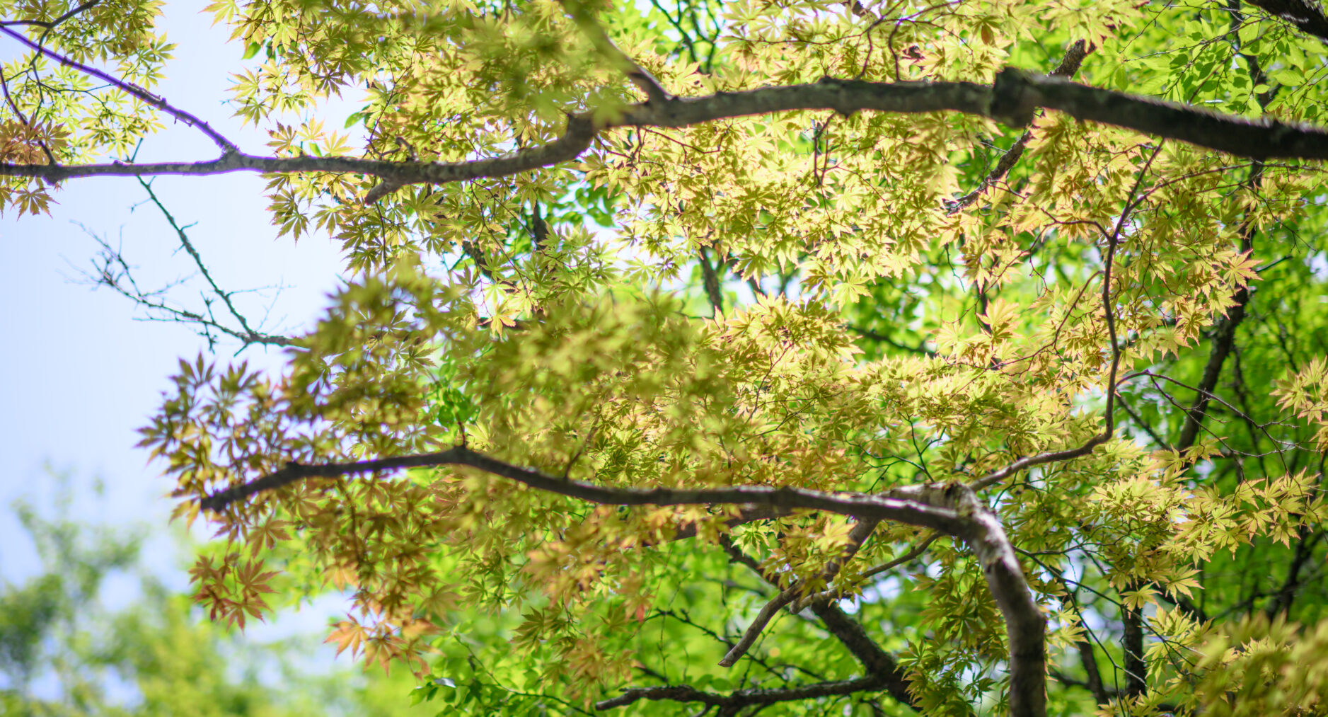 Serenity Springs Villa Moritaの写真 70