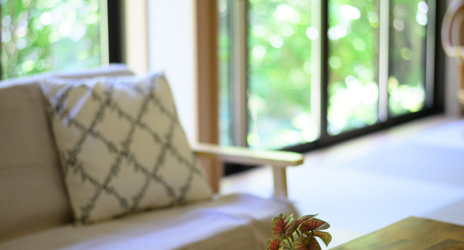 小涌谷・樂の写真 3