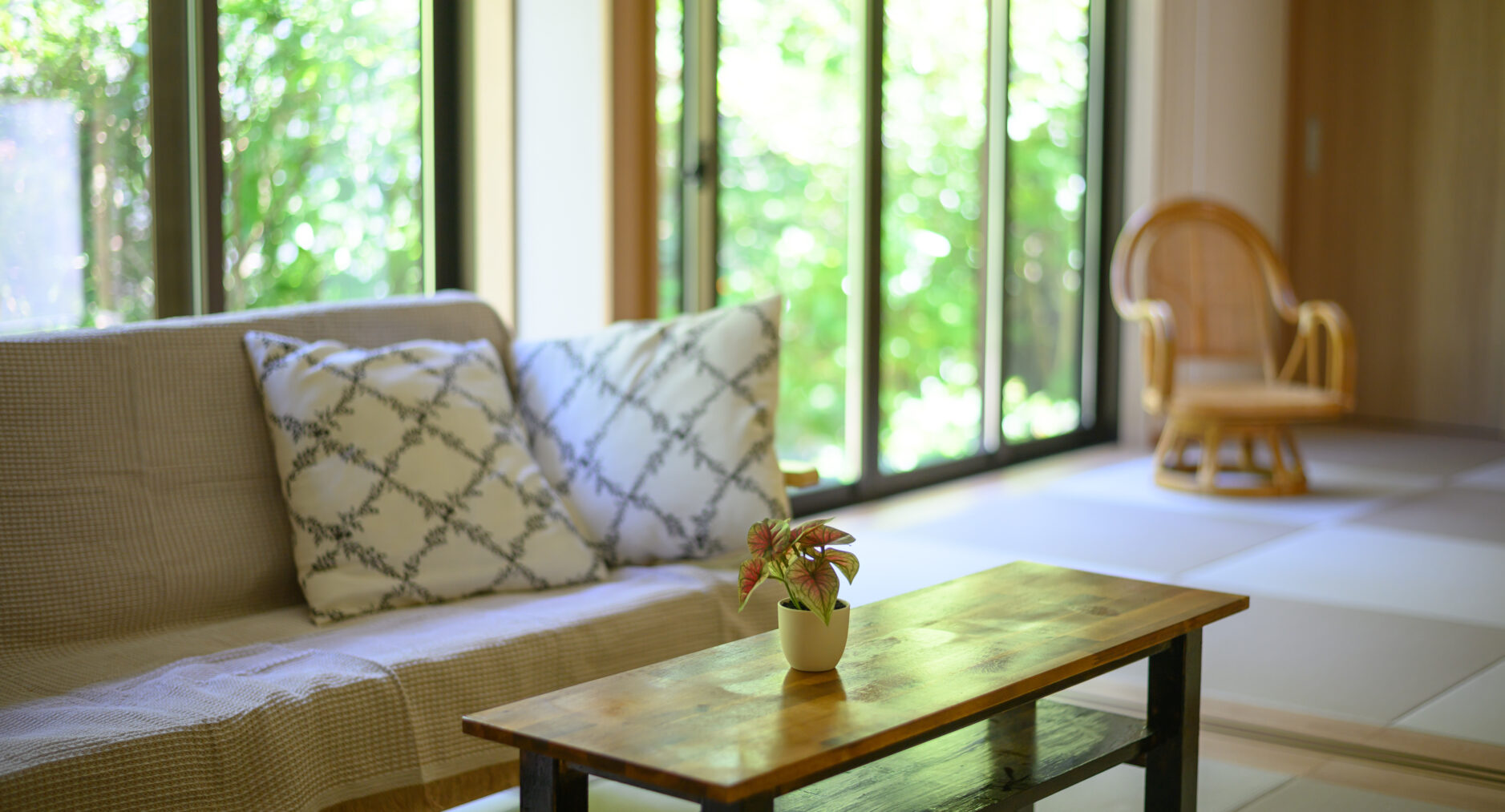 小涌谷・樂の写真 19