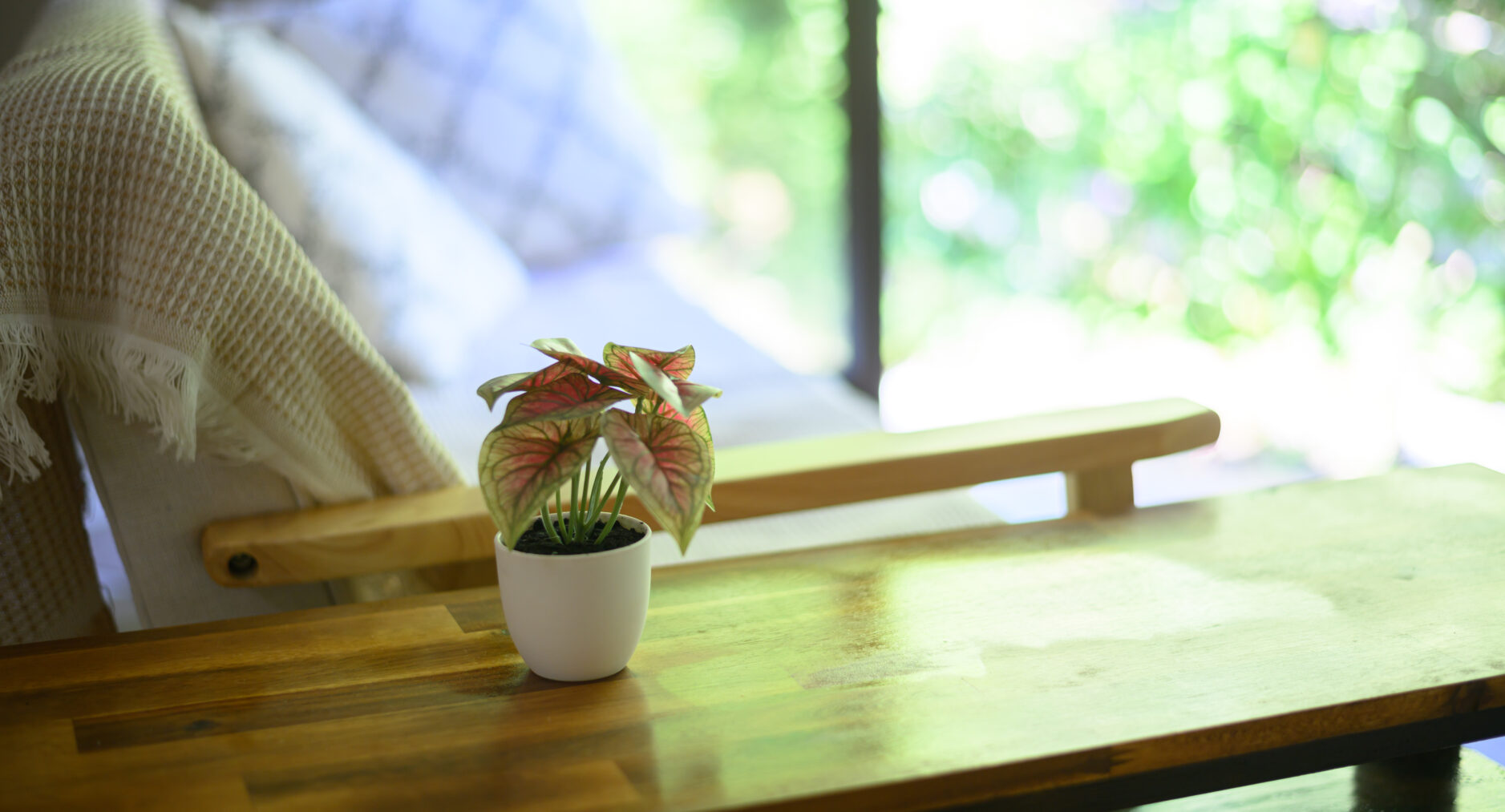 小涌谷・樂の写真 30