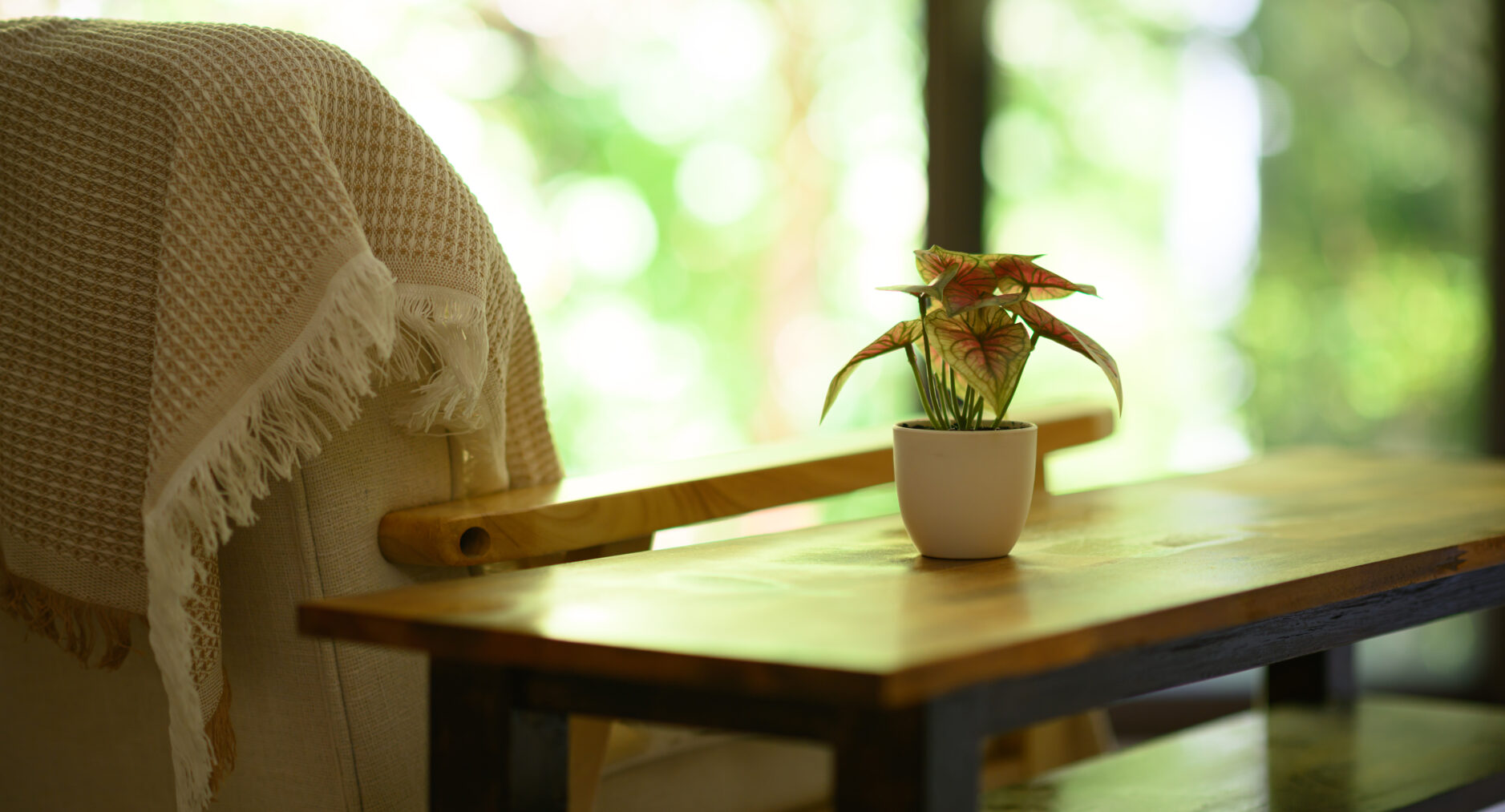 小涌谷・樂の写真 28