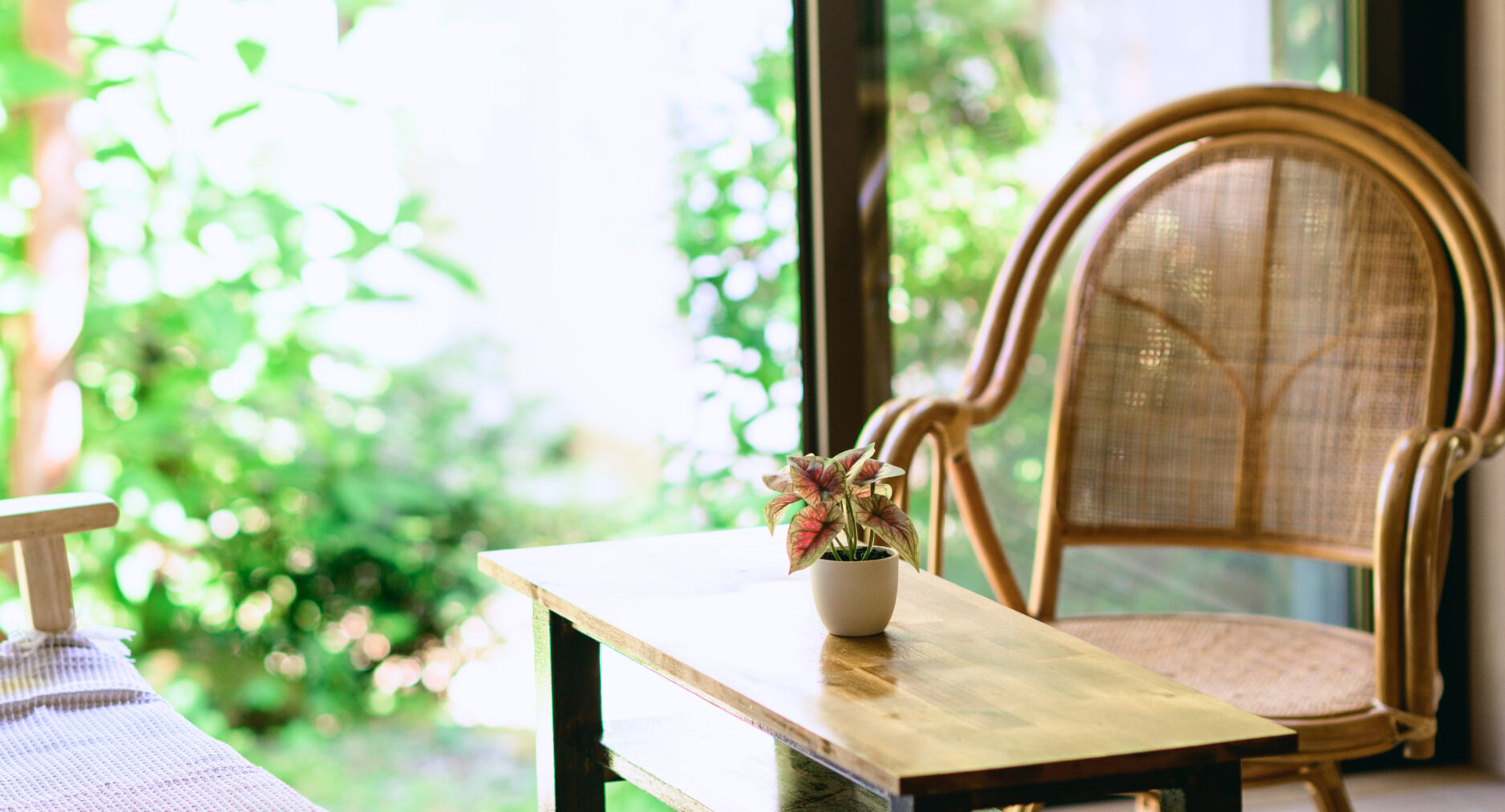 小涌谷・樂の写真 25