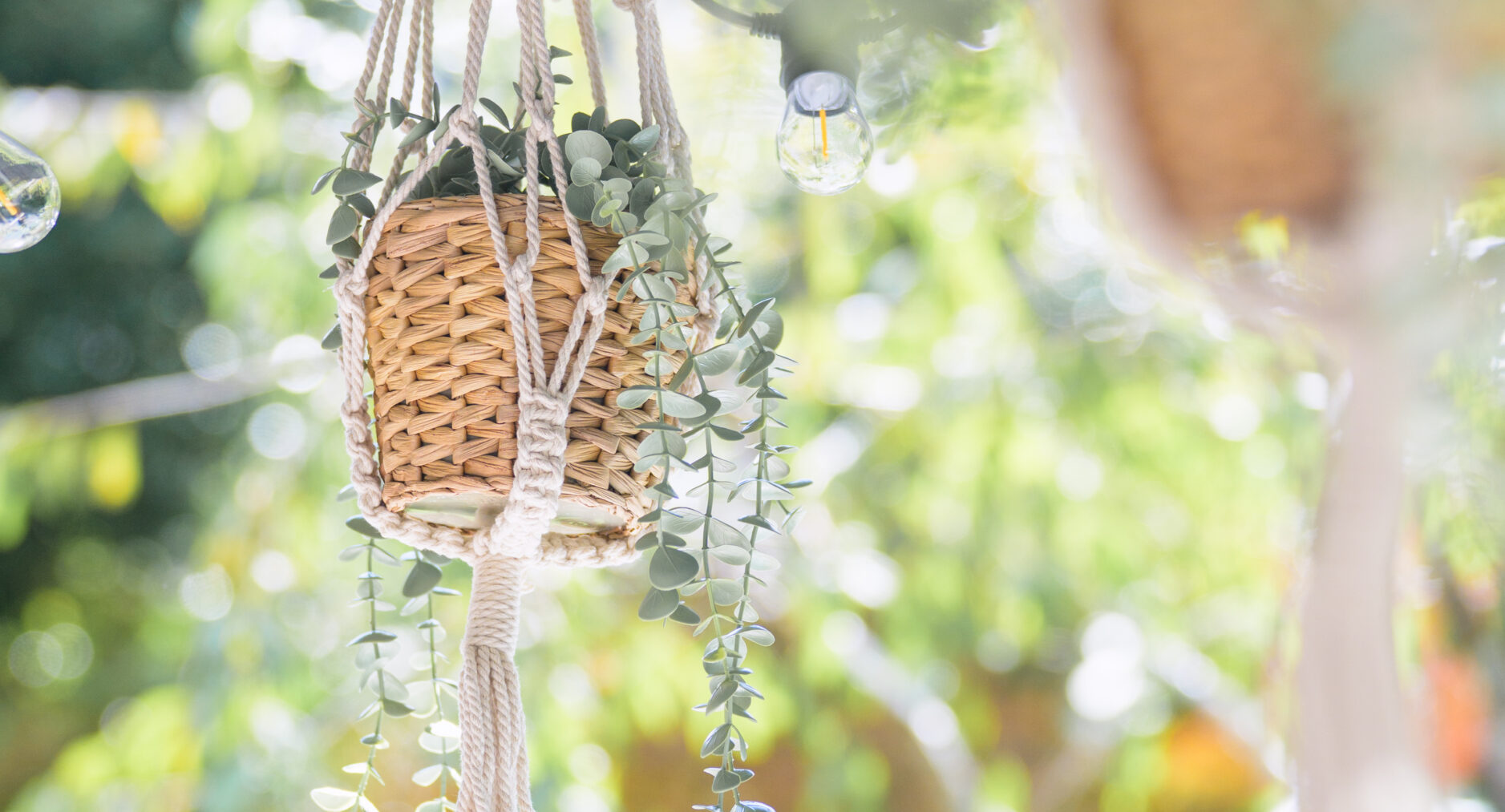 GUEST VILLA 箱根仙石原高原の写真 105