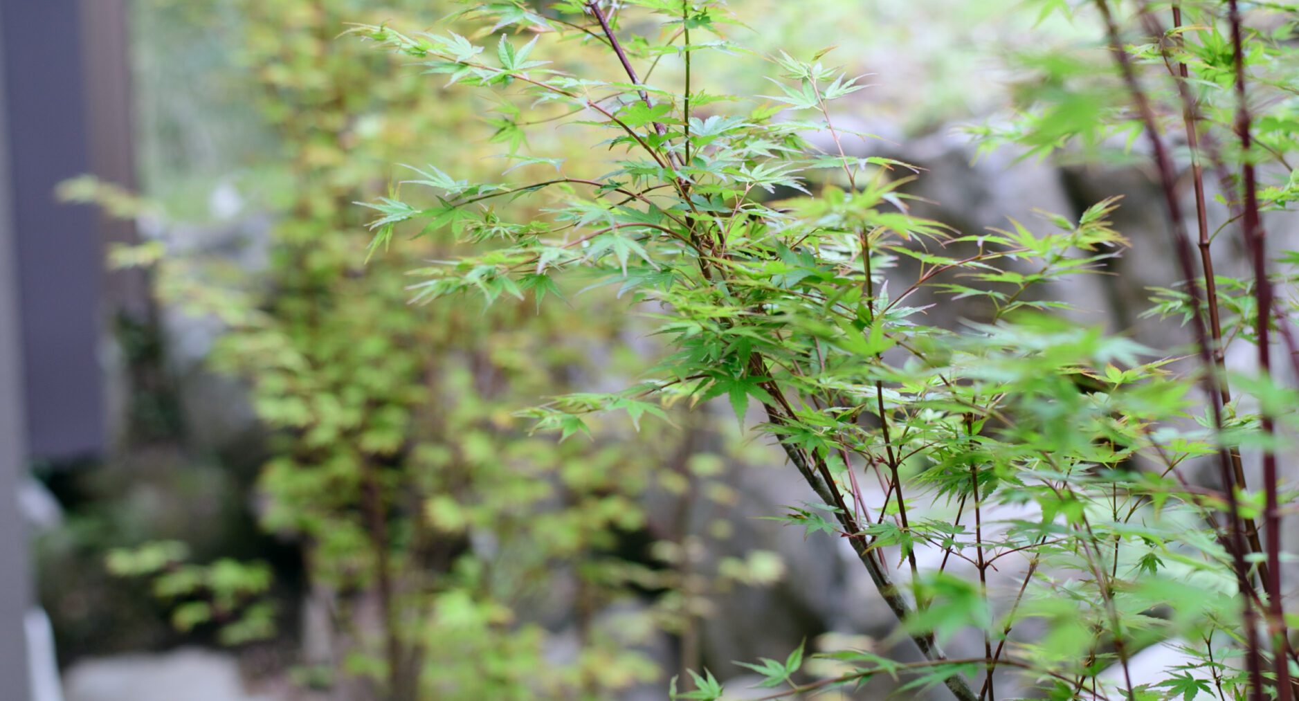 FUJI SAUNA STAY 箱根芦ノ湖の写真 75