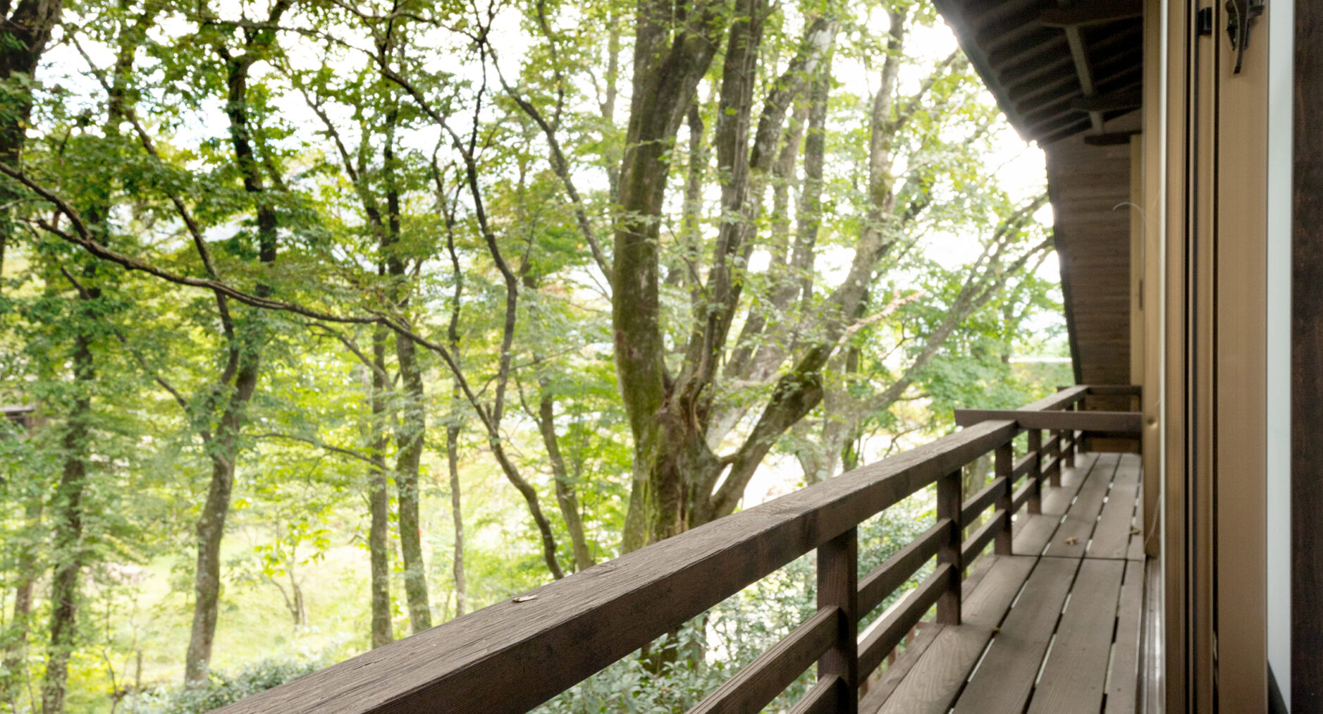 箱根仙石原 相睦菴の写真 24