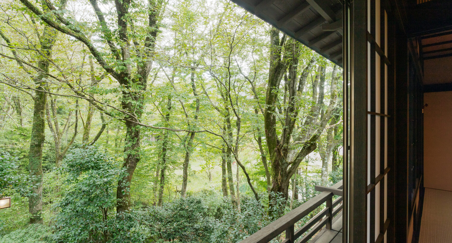 箱根仙石原 相睦菴の写真 23