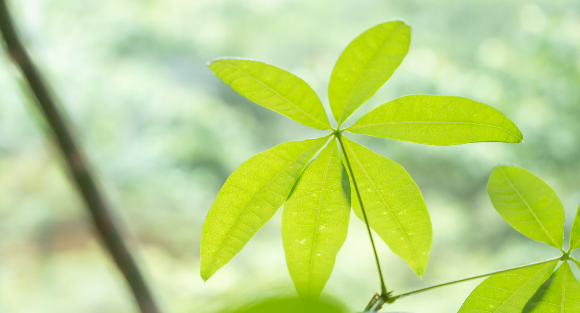 HAYATO HAKONE GUEST HOUSE 一棟貸しの写真 75