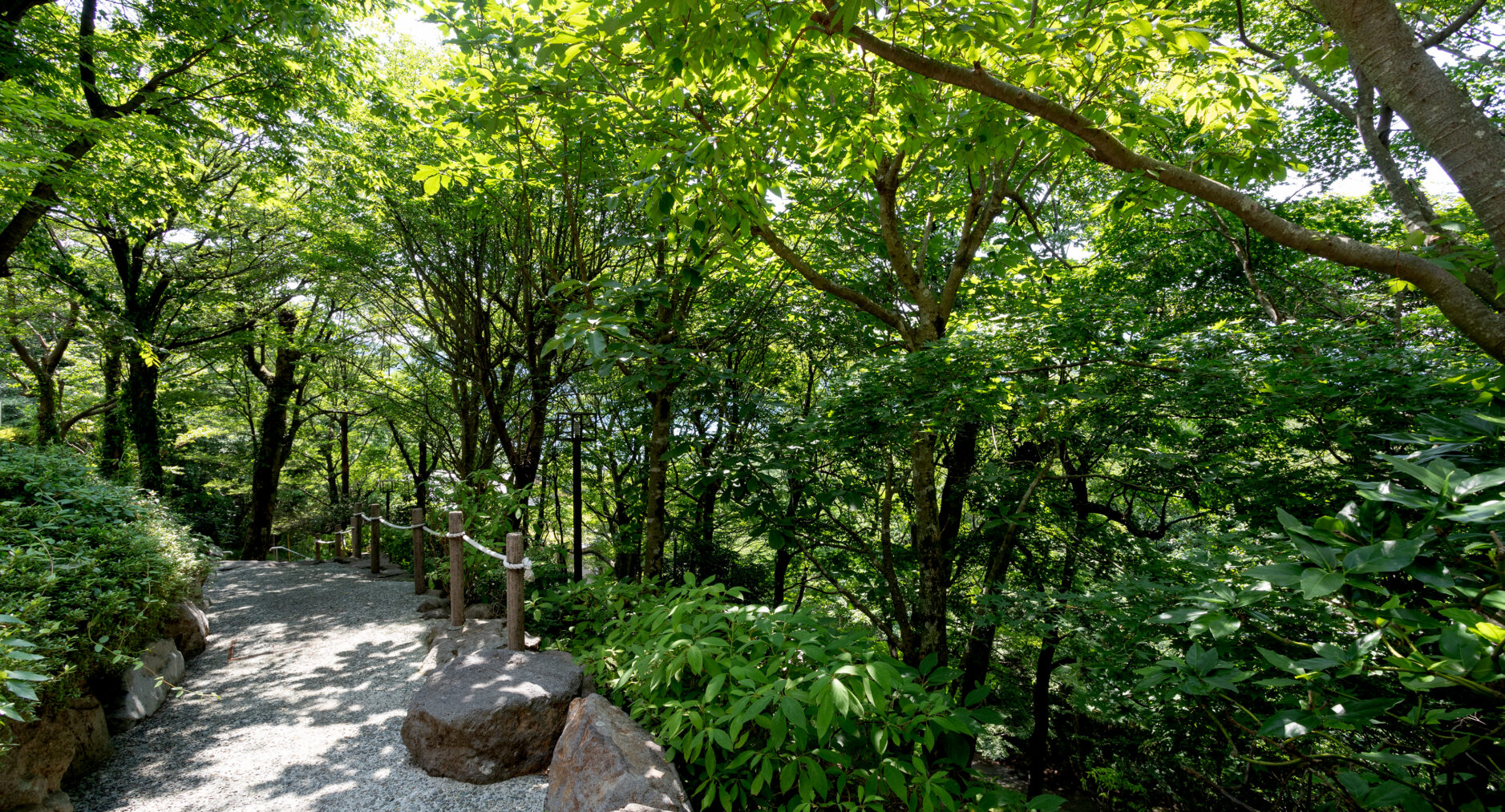 箱根芦ノ湖 美景館 やまゆりの写真 107