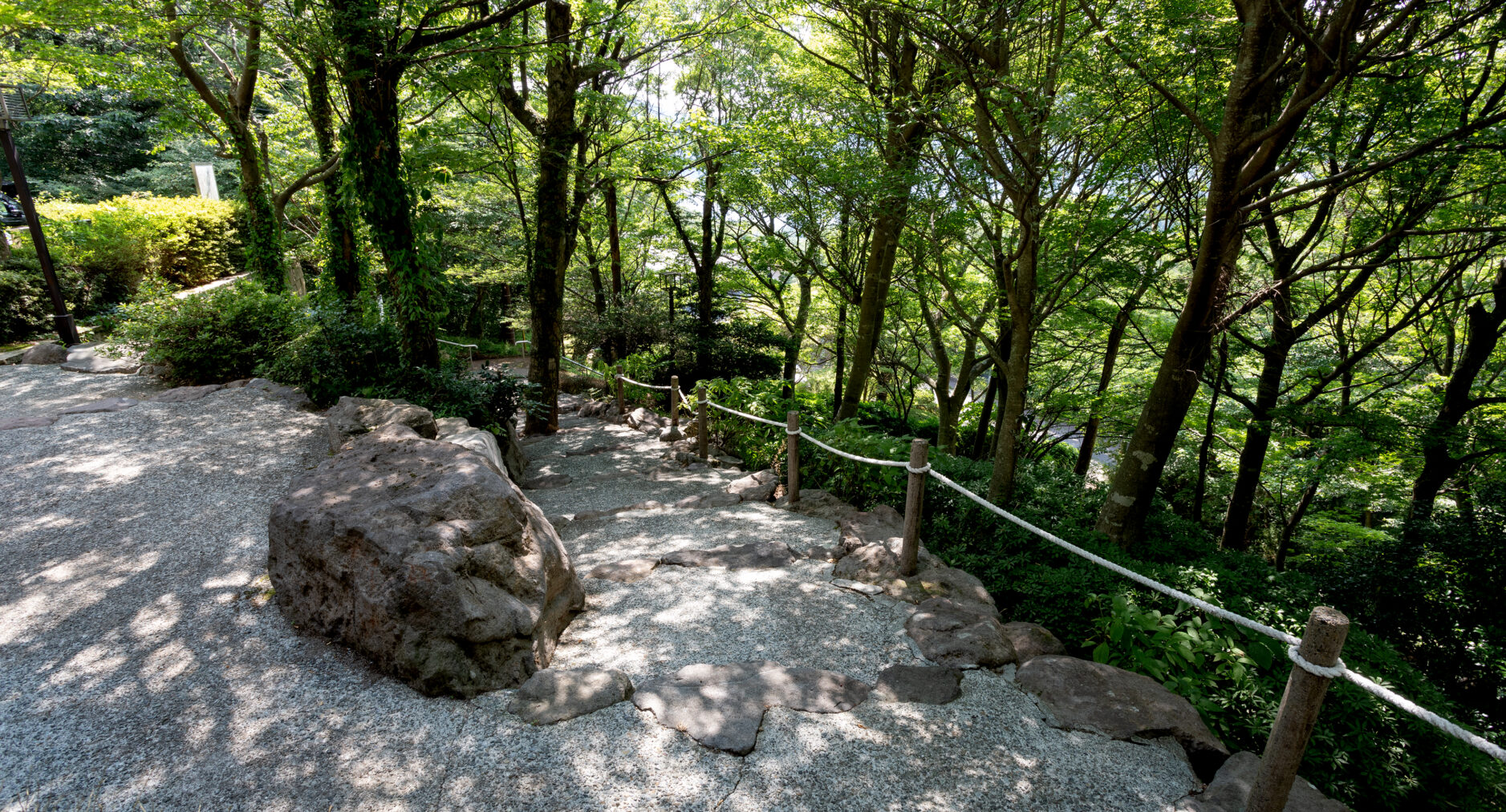 箱根芦ノ湖 美景館 やまゆりの写真 106