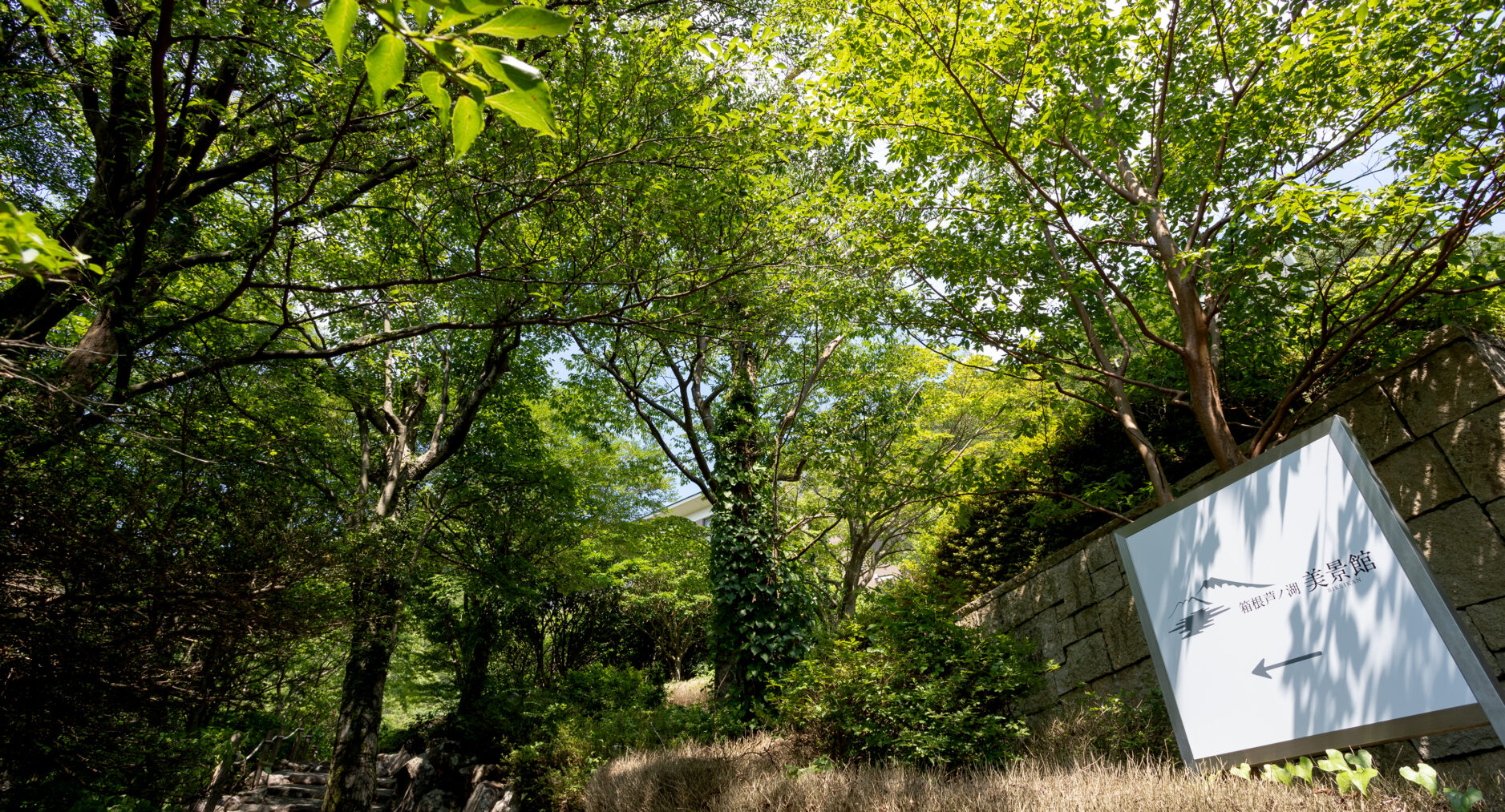箱根芦ノ湖 美景館 やまゆりの写真 114