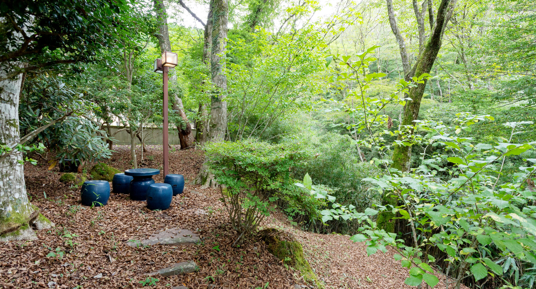 箱根仙石原 相睦菴の写真 26