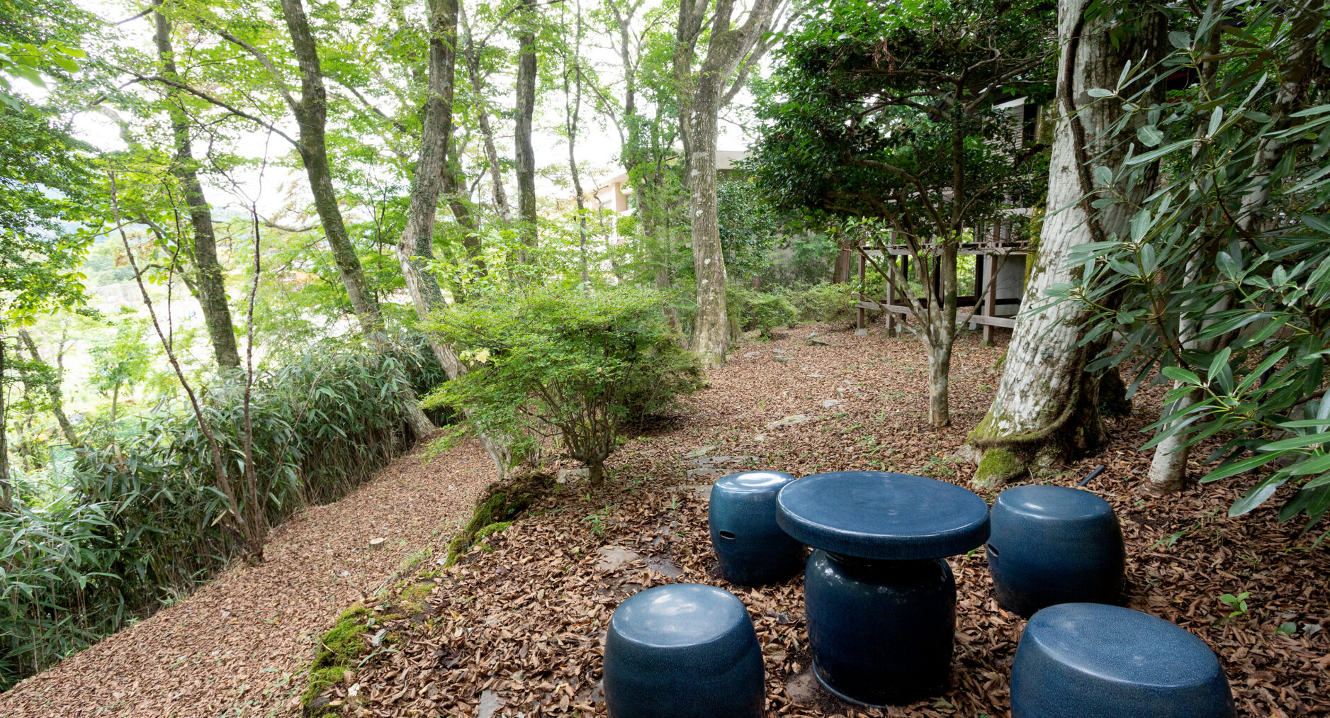 箱根仙石原 相睦菴の写真 28