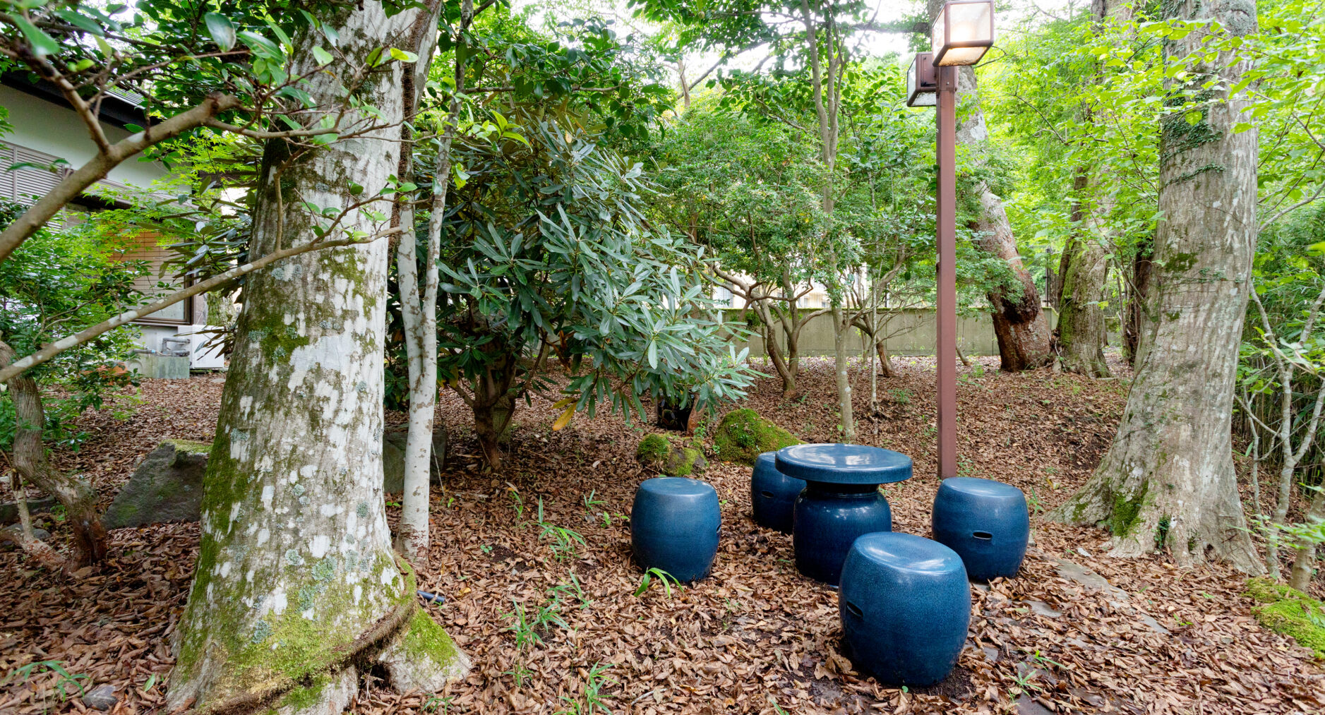 箱根仙石原 相睦菴の写真 27