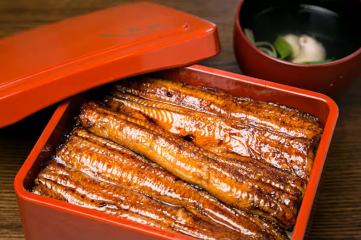 MEIBI箱根湯本 一棟貸しの写真 272