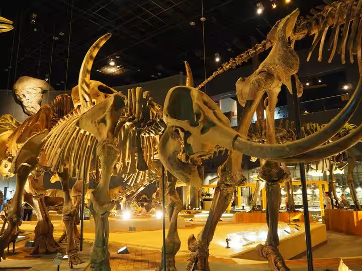 MEIBI箱根湯本 一棟貸しの写真 271