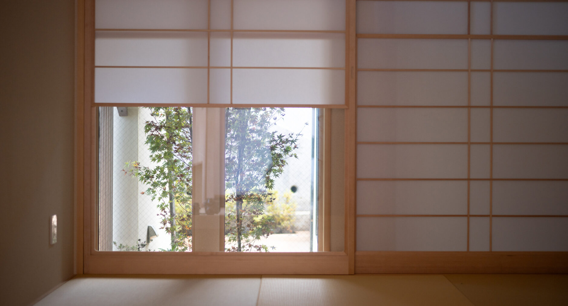 箱・玲瓏の写真 141