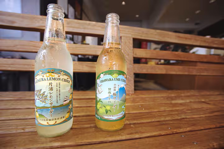 MEIBI箱根湯本 一棟貸しの写真 278