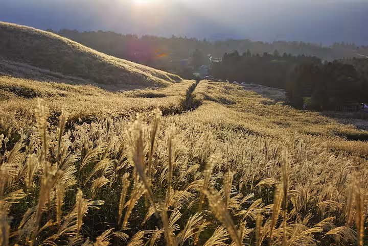 MEIBI箱根湯本 一棟貸しの写真 279