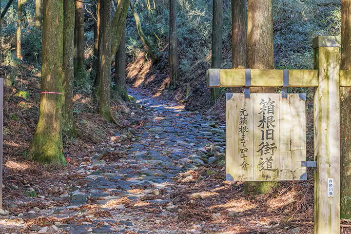 MEIBI箱根湯本 一棟貸しの写真 283
