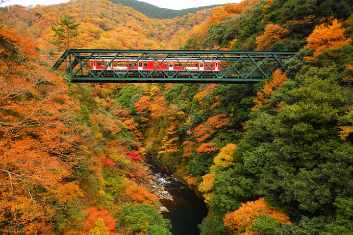 MEIBI箱根湯本 一棟貸しの写真 287