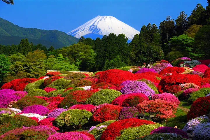 MEIBI箱根湯本 一棟貸しの写真 288