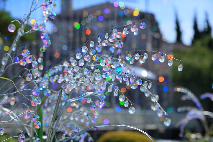 MEIBI箱根湯本 一棟貸しの写真 291