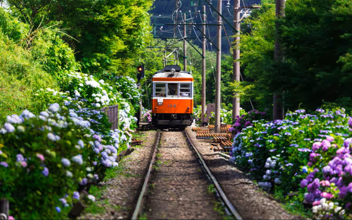 MEIBI箱根湯本 一棟貸しの写真 292