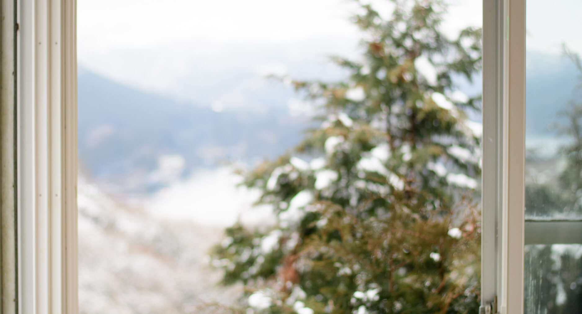 箱根ヒルズの写真 10