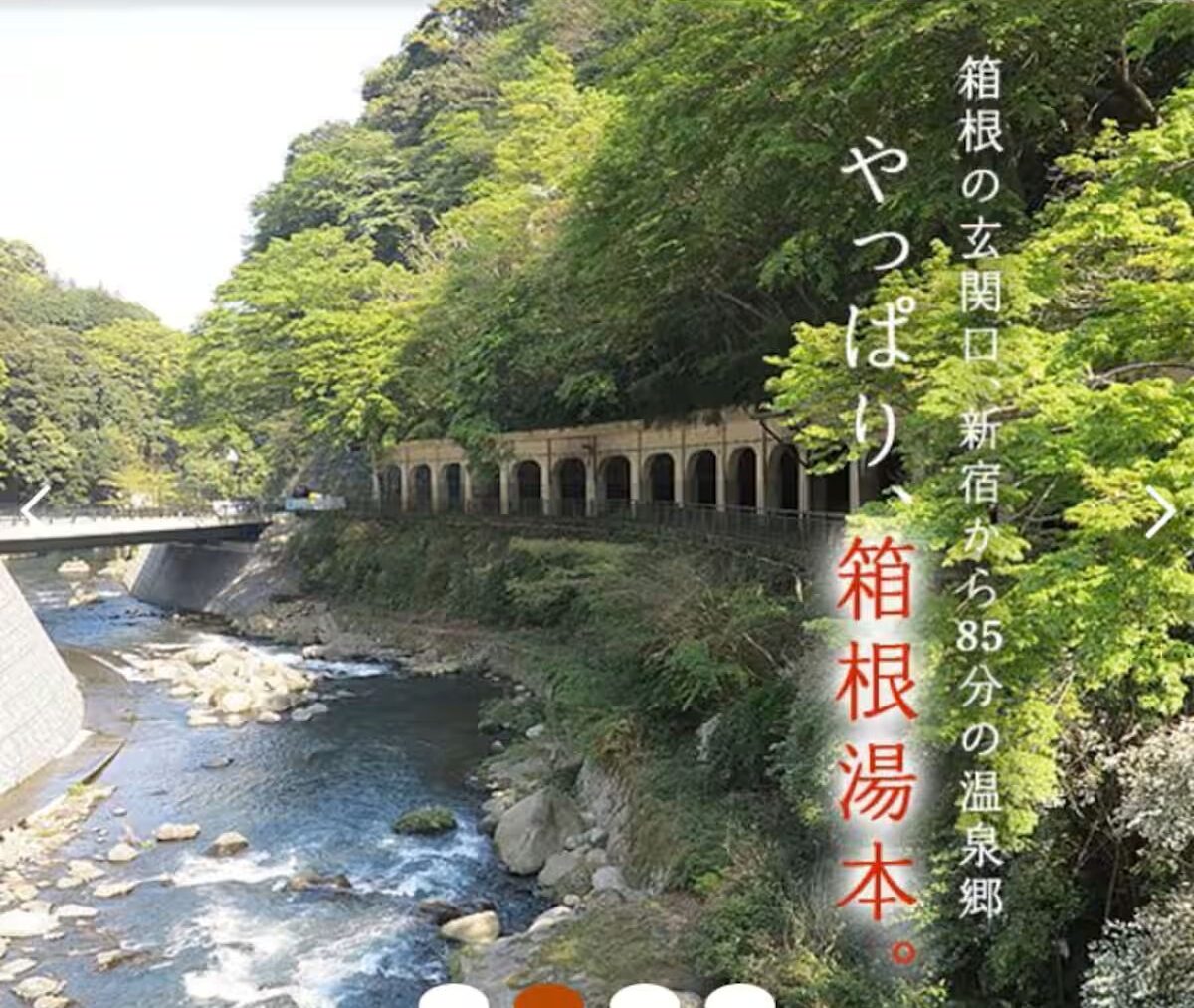 ゲストヴィラ箱根湯本 一棟貸しの写真 68