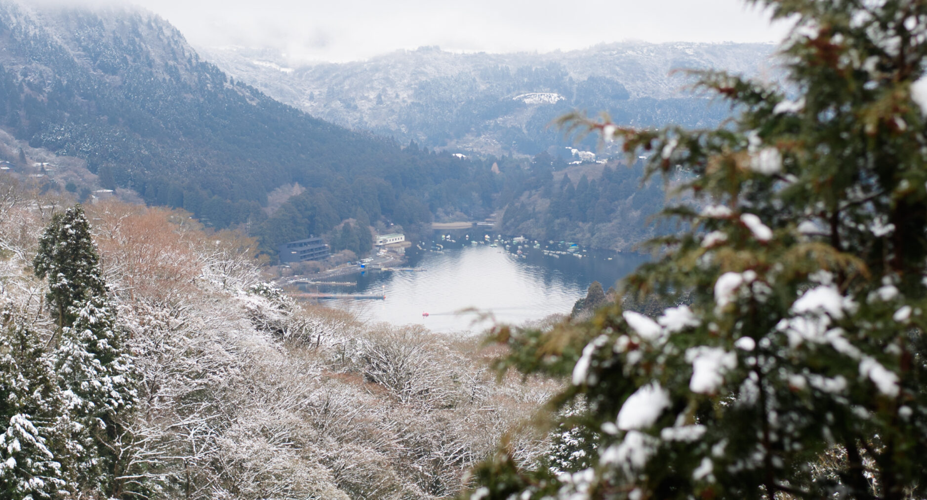 箱根ヒルズの写真 102