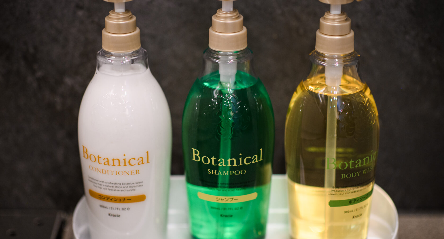 スタジオーネ箱根彫刻の森 Southの写真 66