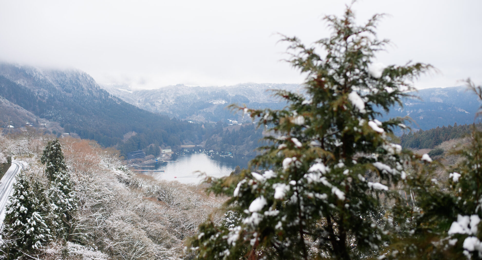 箱根ヒルズの写真 100