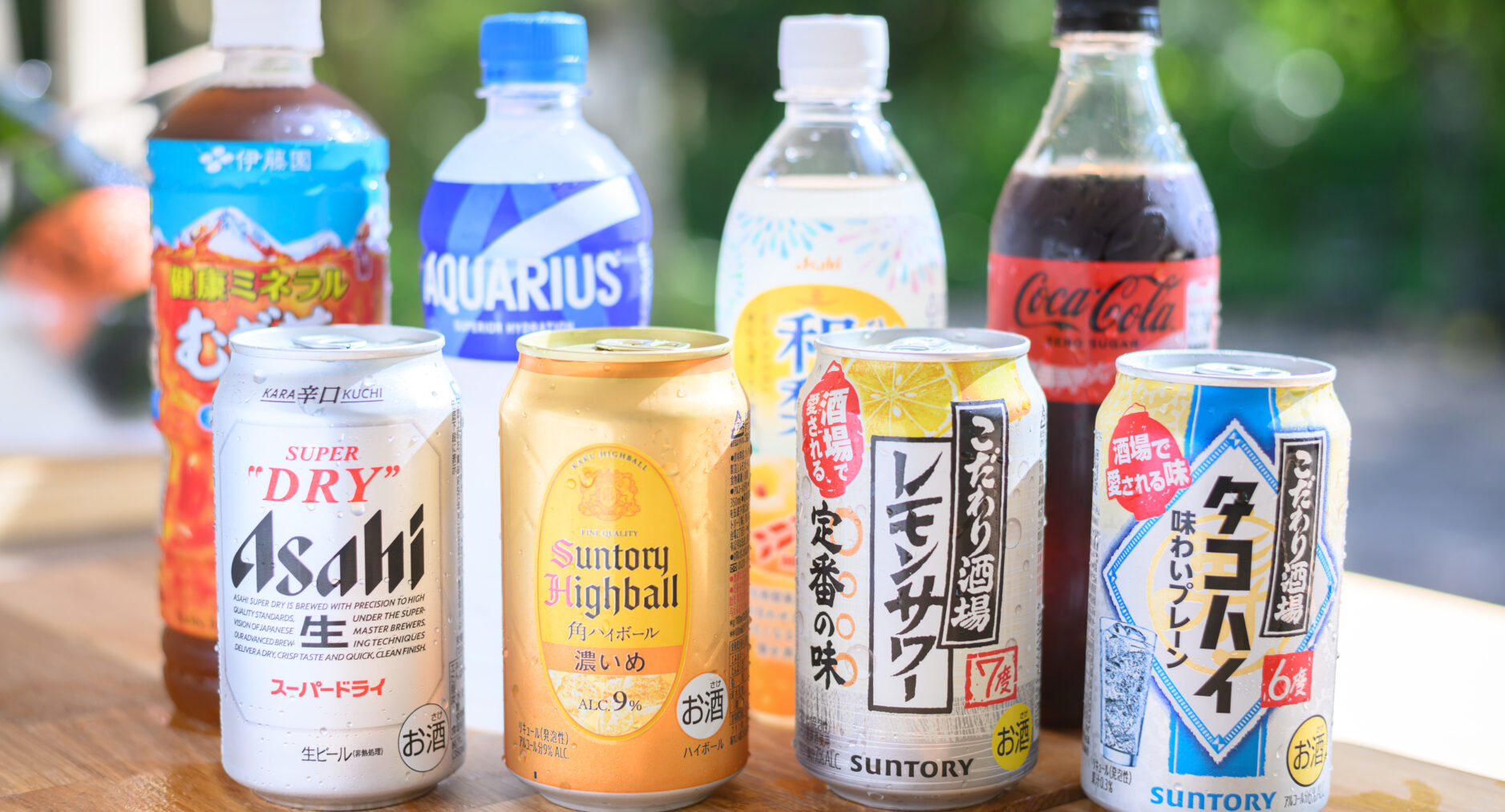 THE GUEST VILLAGE 箱根芦ノ湖 A棟の写真 85