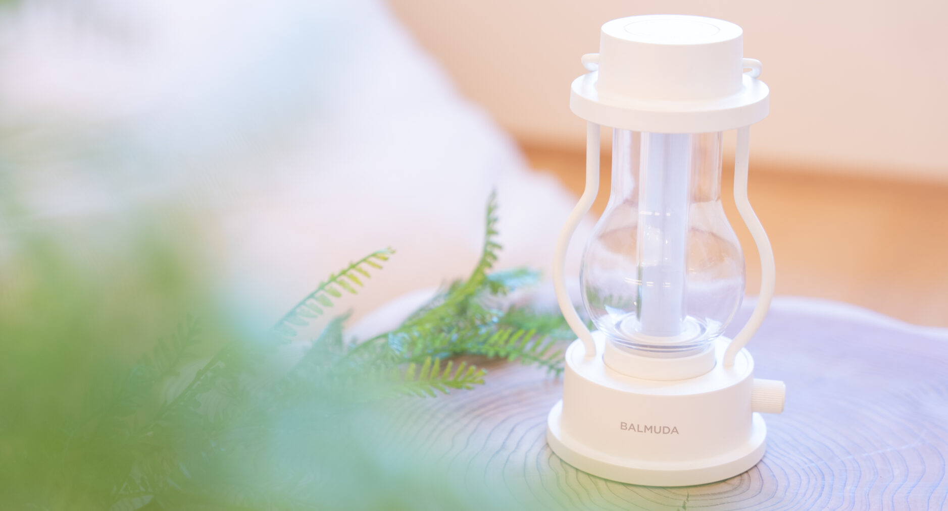 箱・玲瓏の写真 10