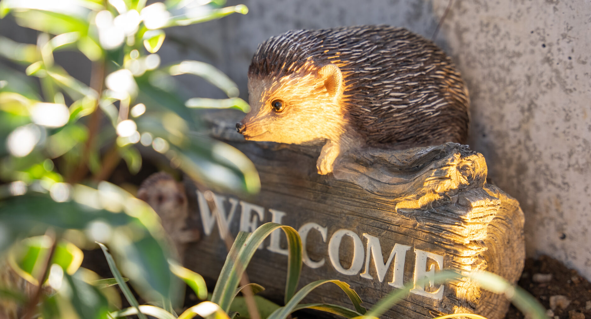 箱・玲瓏の写真 110