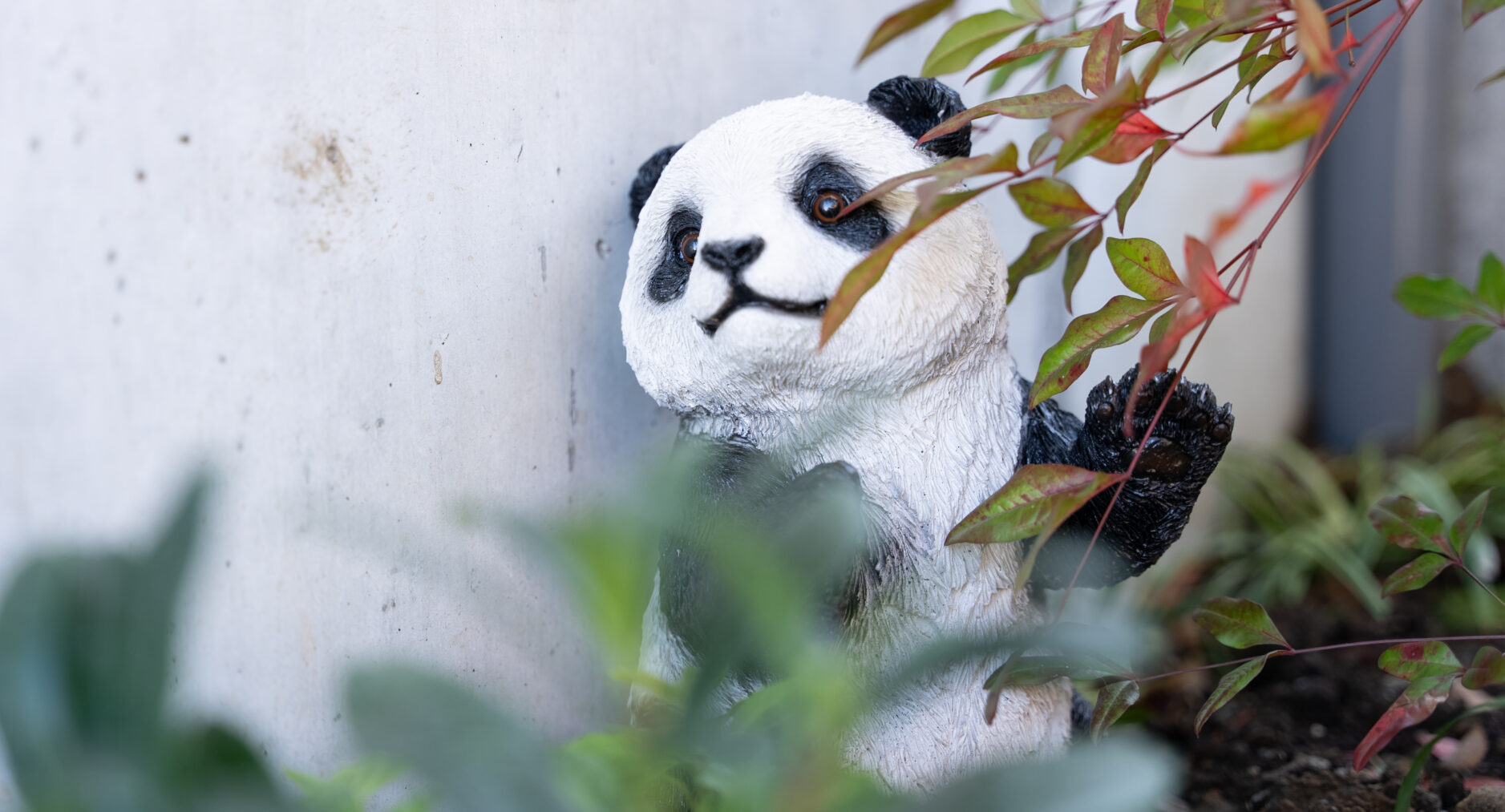 箱・玲瓏の写真 157