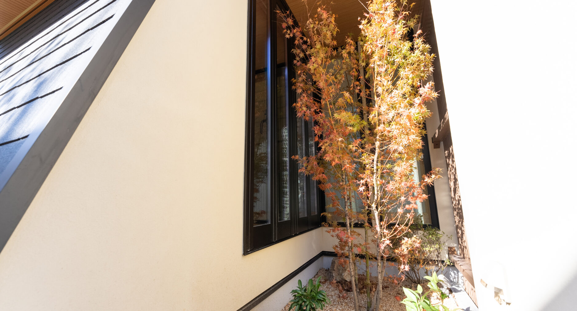 箱・玲瓏の写真 132