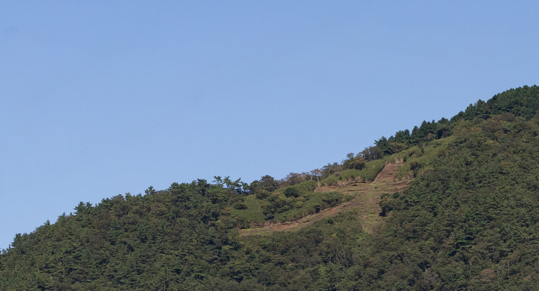 スタジオーネ箱根彫刻の森 一棟貸しの写真 176