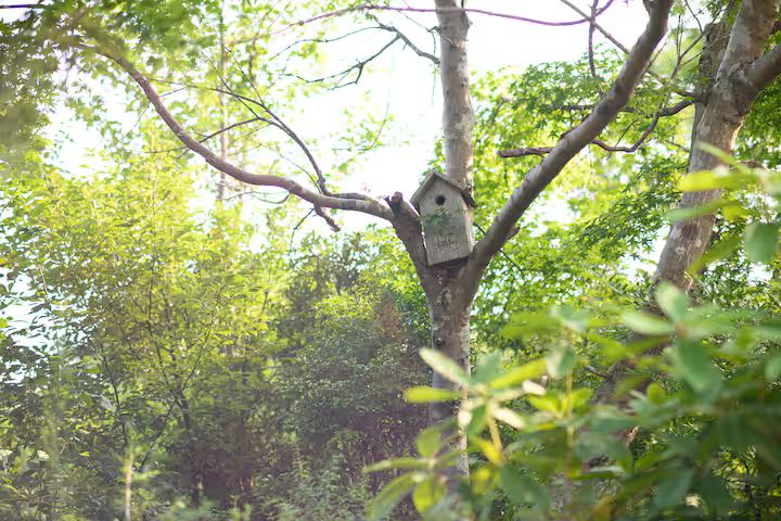 箱根こもれび庵の写真 75
