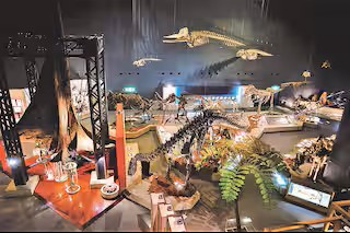 TEMARI EASTの写真 51