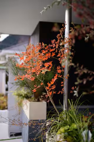 旅宿 四季の彩 箱根彫刻の森101の写真 42