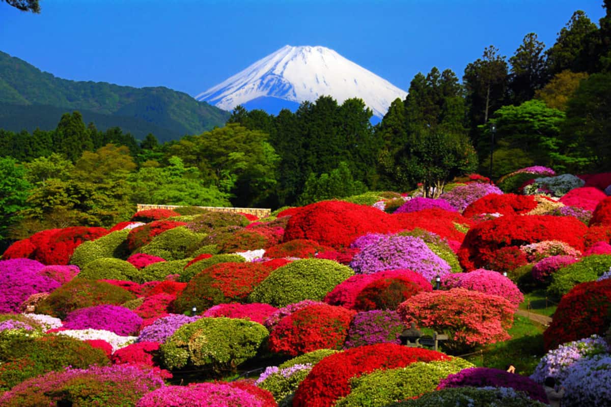 SYLA HOTEL 箱根強羅 EAST一棟貸しの写真 69