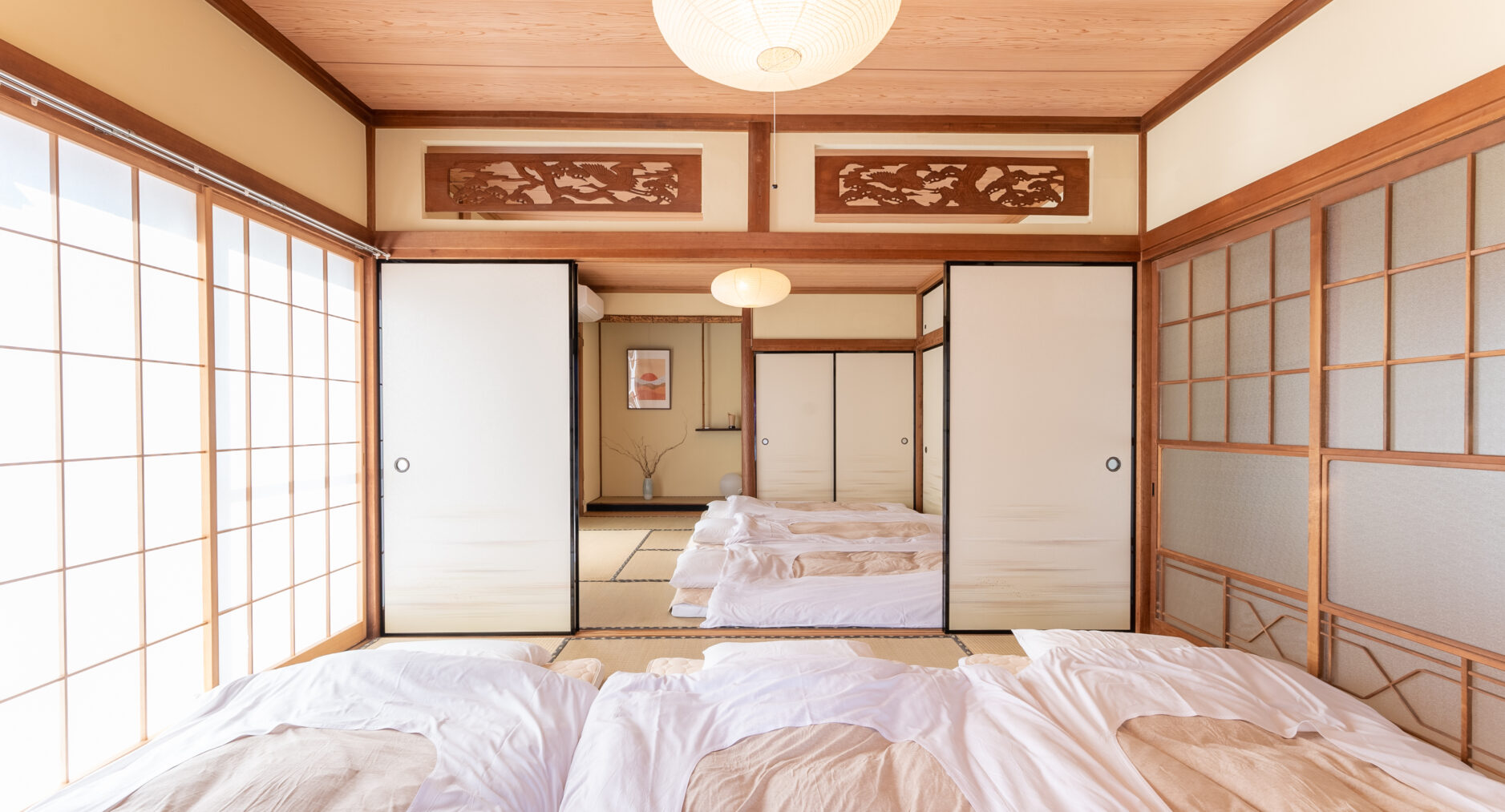 樹蘭蕉 箱根仙石原の写真 27