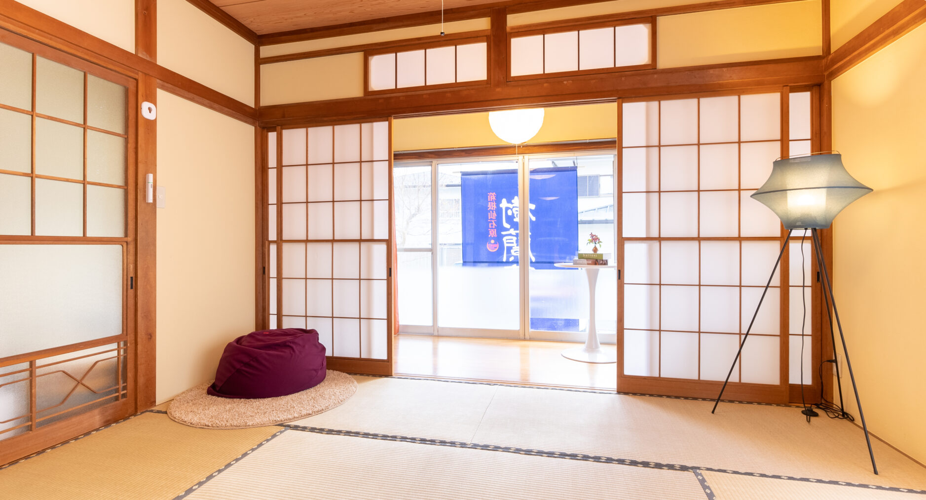 樹蘭蕉 箱根仙石原の写真 46