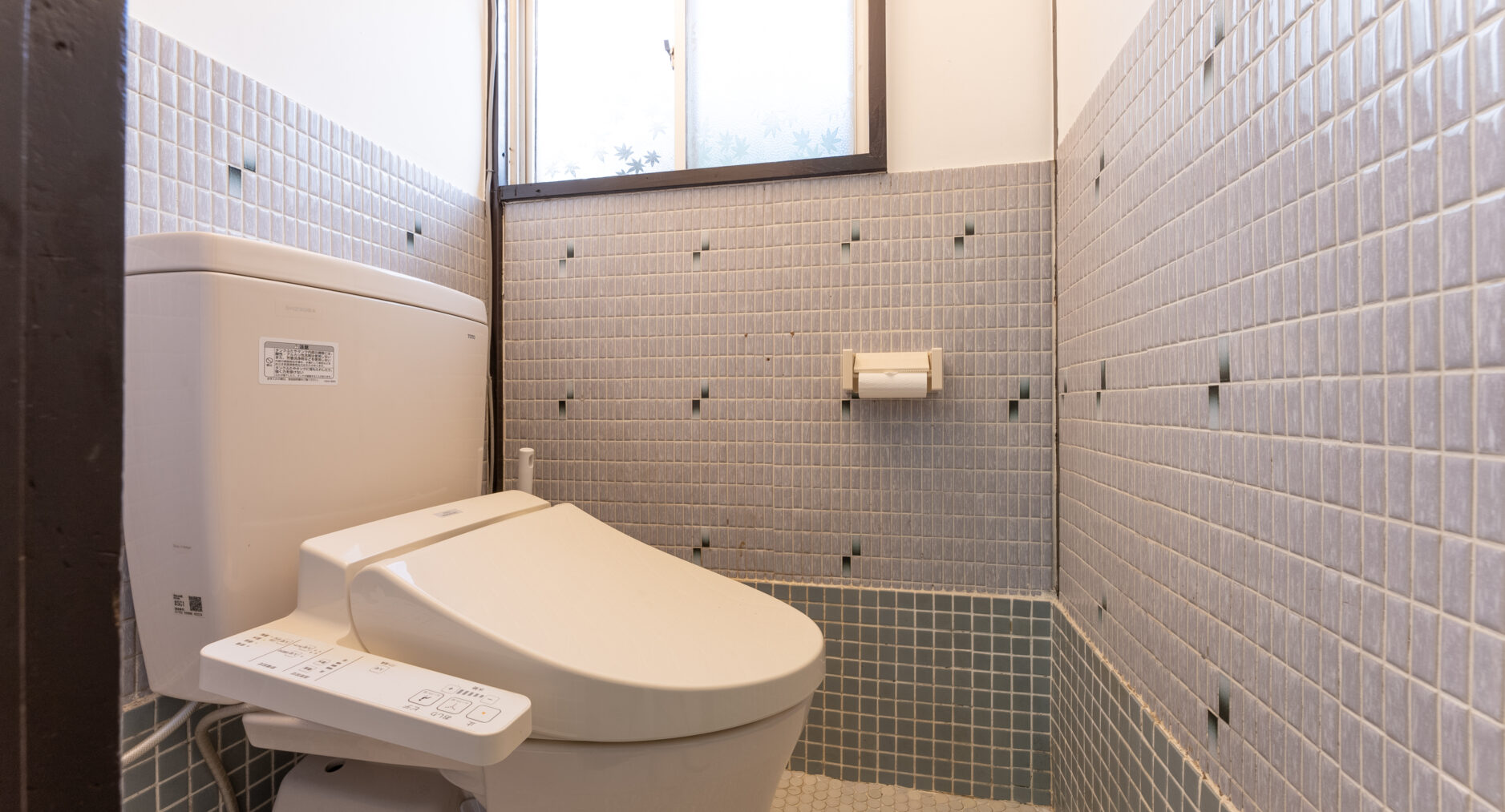 樹蘭蕉 箱根仙石原の写真 30