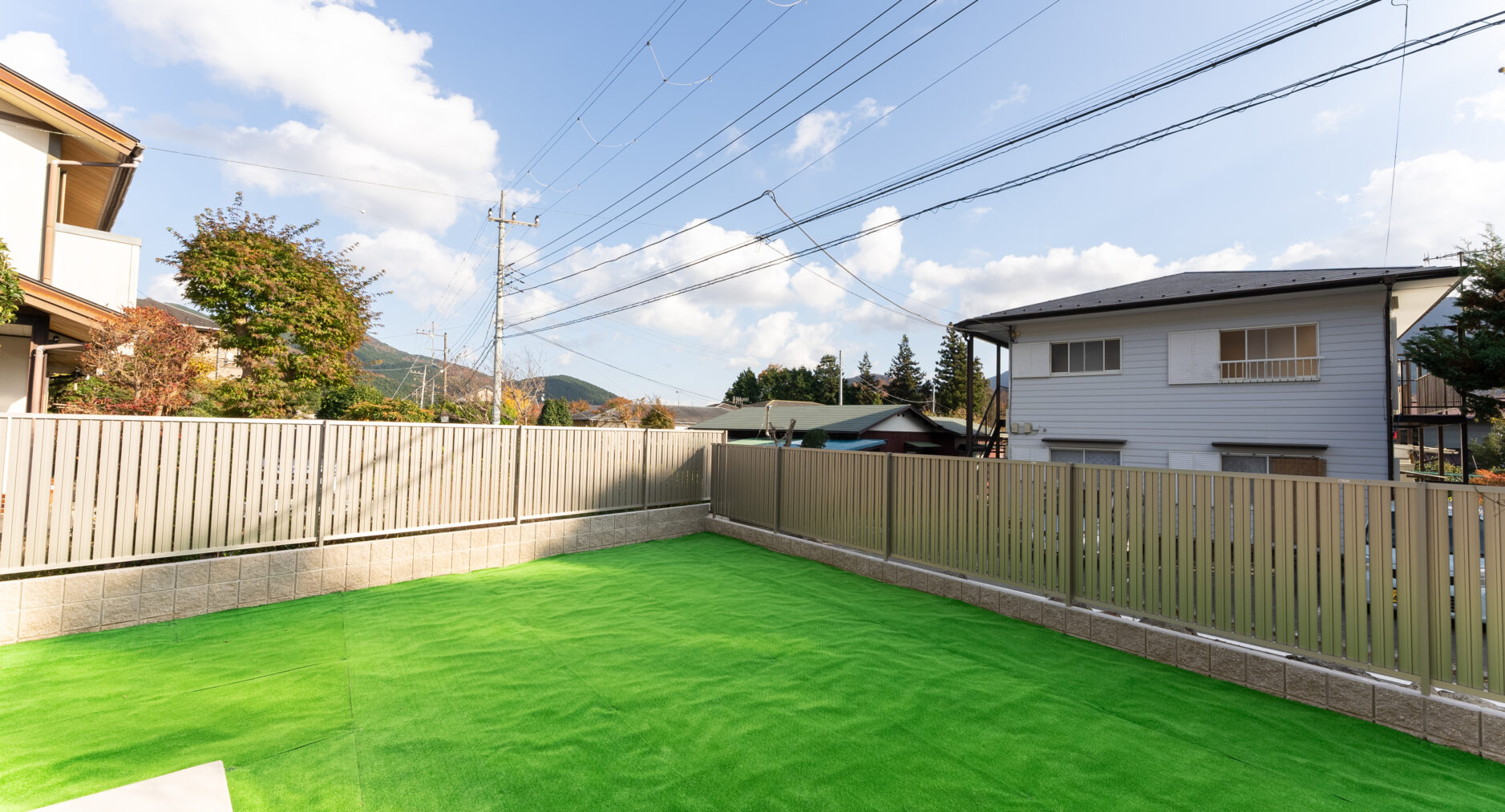 樹蘭蕉 箱根仙石原の写真 31